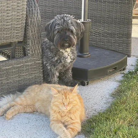 Сasa de vacaciones Les Forges *